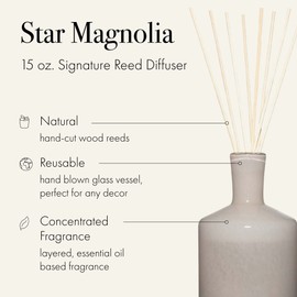 LAFCO New York Signature Reed Diffuser, Star Magnolia - 15 oz - Up to 9 Months Fragrance Life - Reusable, Hand Blown Glass Vessel - Natural Wood Reeds - Made in The USA