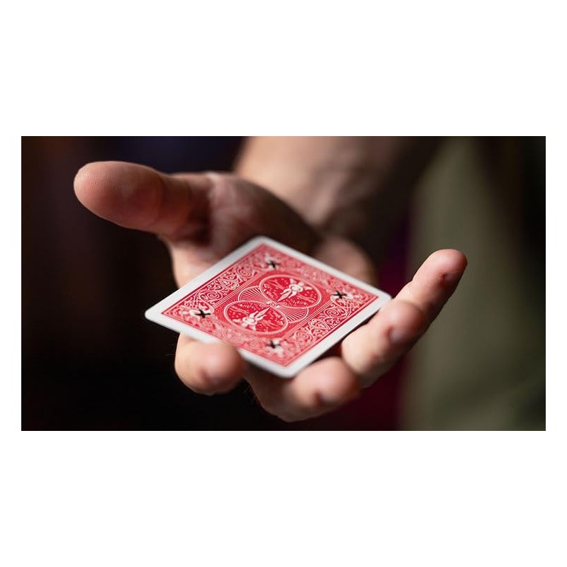 Nicholas Dakin Ink Redible X