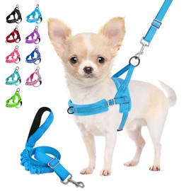 Eyein No-Pull Dog Harness with Lead, Soft Padded Reflective Adjustable Chest Harness for Puppies, Small Dogs, Large Dogs, Pets, Cats (Light Blue, S)