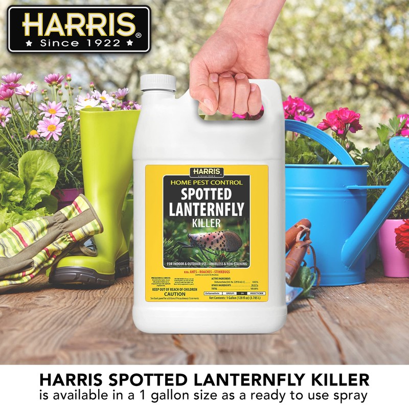 Harris Spotted Lantern Fly Killer, Odorless and Non Staining Ready
