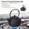 suyika Japanese Tetsubin Cast Iron Teapot Tea Kettle pot with