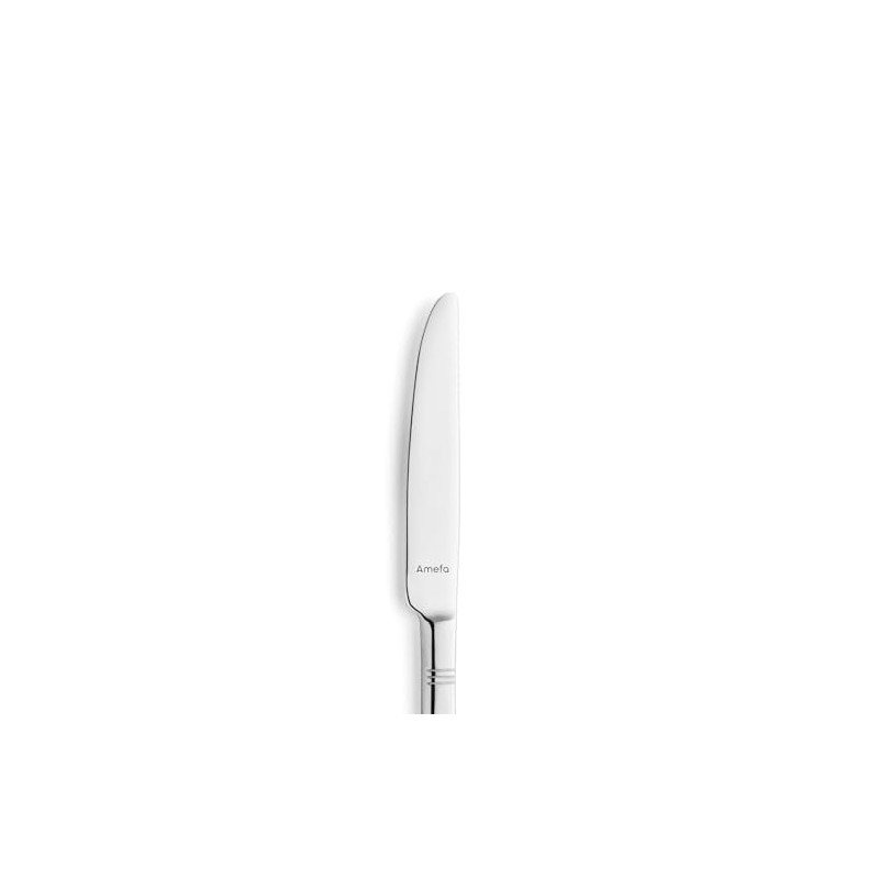 AMEFA Palmon Cutlery Set | 16 Pieces | Cutlery Set