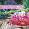 MUMTOP 31 Inch Height Glass Birdbath Birdfeeder with Metal Stake