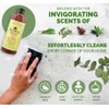 SacredEarth Natural Floor Wash Liquid, rich with Eucalyptus,Tea Tree, Citronella