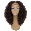 LUXLUXE Precious Curly Curly 17 in Long Lace Front Wig,