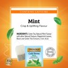 Twinings Mint Green Cold Brew Iced Tea Bags, 20 Count
