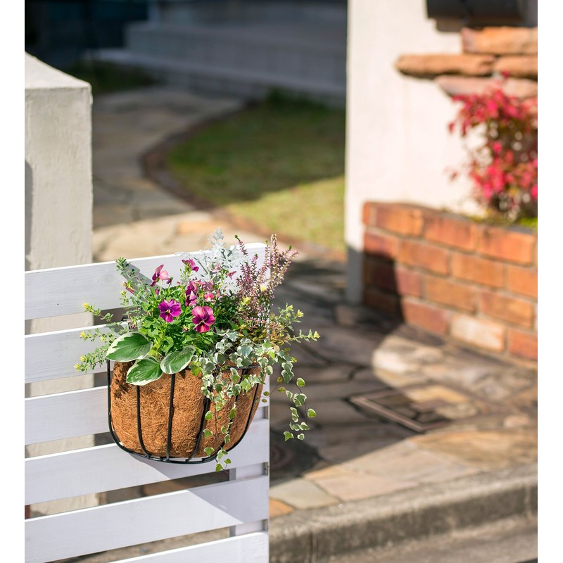 Takasho Qsui AQUA Wall Hanging Basket