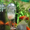 HIERYAN Planaria Trap Catch, Clear Trap Catcher for Cherry Shrimp