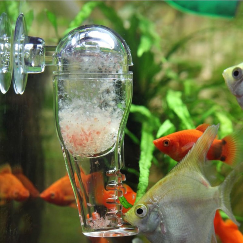 HIERYAN Planaria Trap Catch, Clear Trap Catcher for Cherry Shrimp