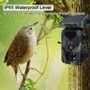 Solar Trail Camera, 20MP 1080P Solar Game Wildlife Hunting Trail