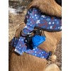 New Bag-N-Go Ultra Slim Bag Holder For Leash-One-Handed Operation- Keeps