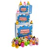 Assortment Rubber Duck Toy Duckies for Kids, Bath Birthday Gifts