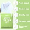 HyperGo XL Body Wipes for Women & Men – 12"