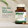 Standard Process Catalyn - General Well-Being Tablet to Aid Antioxidant