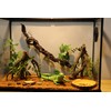 AQUA KT Reptile Corner Climbing Branch with Plant Snake Climb