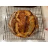 ZOURDOUGH SOURDOUGH The Apostle sourdough starter yeast New Release for