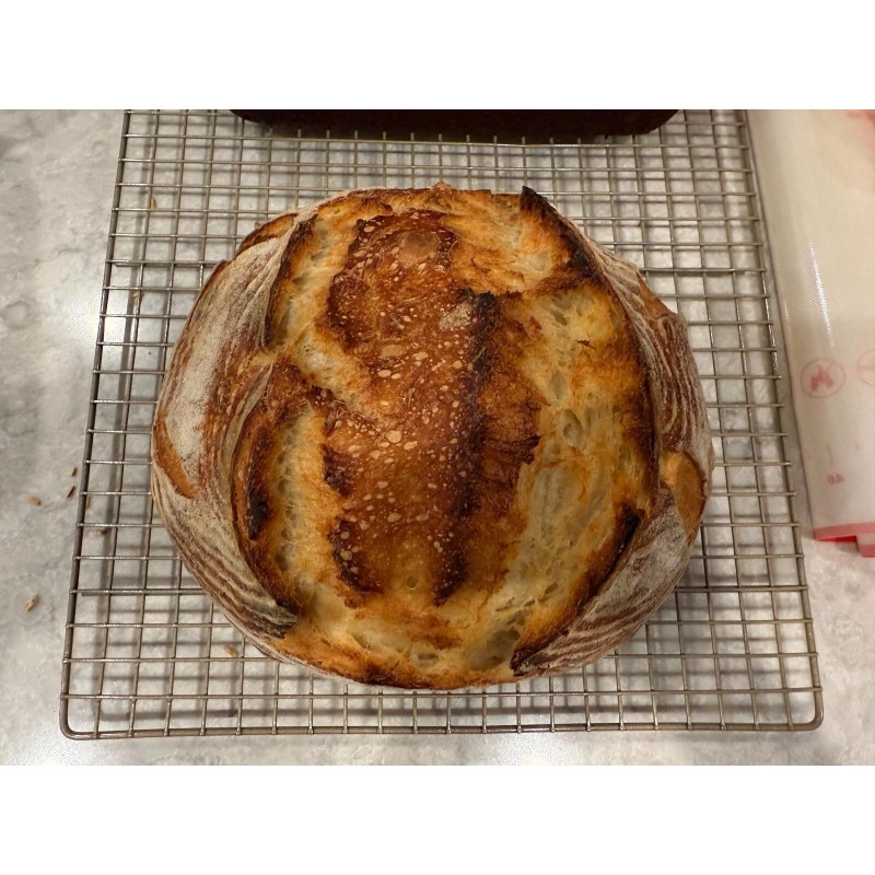 ZOURDOUGH SOURDOUGH The Apostle sourdough starter yeast New Release for