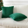 Soleebee Set of 2 Throw Pillow Covers Soft Cozy Velvet