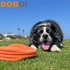 Doggi Fly Float Medium / Large (Pack of 3)