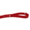 Regal Dog Products Waterproof Leash – 5 ft. Red Dog