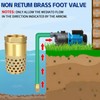 Brass Foot Valve 1 inch NPT Heavy Duty Spring Mesh