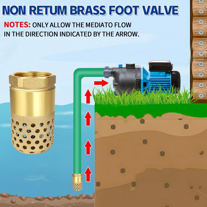 Brass Foot Valve 1 inch NPT Heavy Duty Spring Mesh