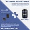 vedge Nutrition Creatine + | Vegan Plant-Based Creatine Monohydrate Powder
