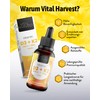 Vital Harvest® Premium Vitamin D3 K2 Tropfen 1000 IE 50ml