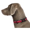 Halti Collar (8" - 12"), X-Small, Red