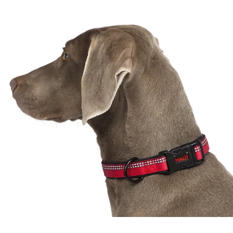 Halti Collar (8" - 12"), X-Small, Red