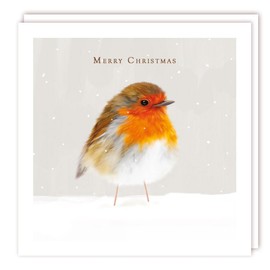Tracks Publishing Charity Christmas Cards - Fluffy Robin in the Snow - Eco-Friendly - Pack of 5 Cards