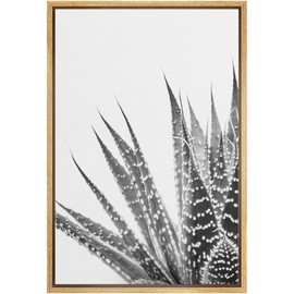 Color-Banner Framed Canvas Print Wall Art Detailed Zebra Succulent Floral Plants Photography Modern Art Closeup Relax/Calm Grey Dark Black and White for Living Room, Bedroom, Office - 16"x24" Natural