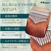 Hostaro Kalimba Thumb Piano, Solid, 17 Keys, Popular, Premium Protective