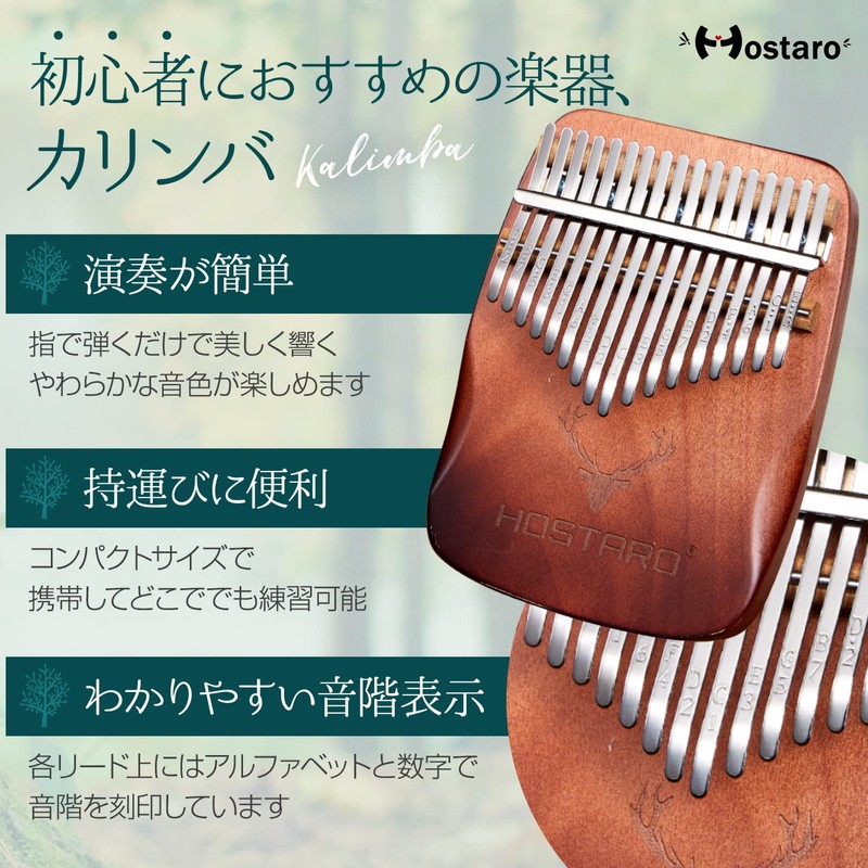 Hostaro Kalimba Thumb Piano, Solid, 17 Keys, Popular, Premium Protective