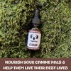 MycoDog Chaga Mushroom Supplement for Dogs - Immune Defense &