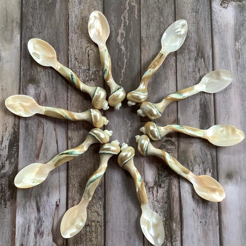 Set of 02 Spoons Shell Spoon Mother of Pearl Caviar