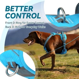 VIVAGLORY Easewalk No Pull Dog Harness, Dog Harness for Training & Walking with Front Clip & Handle, No Pull & Escape Proof for Pet Puppy, XL, Blue