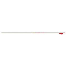 Gold Tip Velocity 400 Arrows with 2-Inch Raptor Vanes (1-Dozen)