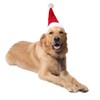 Adjustable 3D Christmas Santa Hat for Dogs Cats (Large)