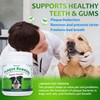 Petstoral Plaque Removal Natural Dental Powder - Dog Dental Care