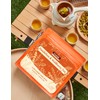 ChaSilir Organic Dandelion Root & Wolfberry Detox Tea Bags -
