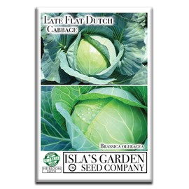 Semillas de repollo holandés tardías, 1000 semillas de reliquia por paquete, (semillas de jardín de Isla), semillas sin OMG, nombre botánico: Brassica oleracea VAR. capitata