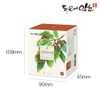 [5+1 Offer] 10 Hovenia chinensis tea bags, eco-friendly, biodegradable triangular