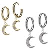 Crescent Moon Stainless Steel Hoop Earrings 1 Pair, Stainless Steel,