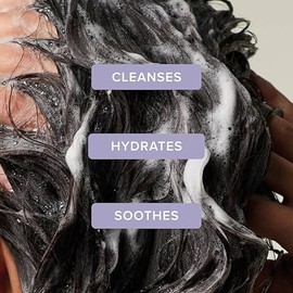 Champú hidratante de lavanda y menta Tea Tree, hidrata + calma, para cabello grueso y seco