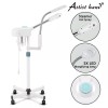 ArtistHand 2IN1 Facial Steamer 5x Magnifying Lamp Hot Ozone Salon
