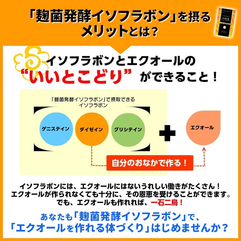 麹菌発酵イソフラボン 90粒 1日3粒 1ヶ月分 アグリマックス 配合 40代 応援 大豆イソフラボン サプリ