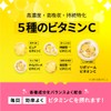 リポソーム ビタミンC 高吸収 持続型 VC リポソーム プラス 1ヶ月分 1000 mg