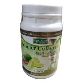 Colágeno Hidrolizado Arándano 1.2 Kg Polvo Suplemento Belleza
