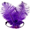 2pcs Sequins Feather Headpiece,1920s Flapper Headband,Girls Women,Mardi Gras Carnival Party
